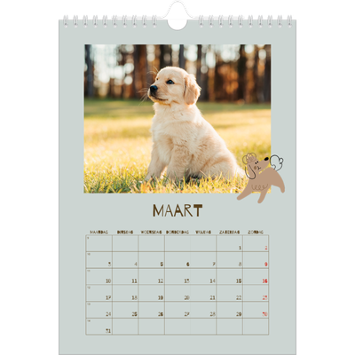 Fotokalender A4 (20 x 30 cm) — Speelse puppy [Maart]
