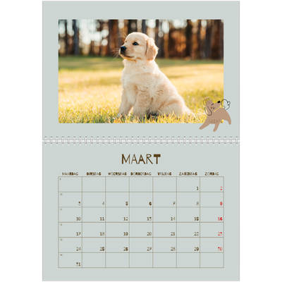 Fotokalender A4 Dubbel (30 x 40 cm) — Speelse puppy [Maart]