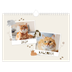 Fotokalender A4 — Speelse kitten [omslag]
