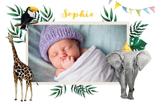 Uitnodigingen — Aquarel dieren