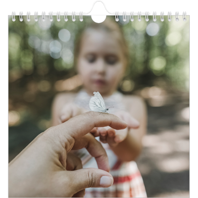 __breadcrumb.calendar_birthday_square.name — Twaalf grote maanden [omslag]