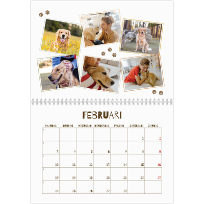 Fotokalender A4 Dubbel (30 x 40 cm) — Speelse puppy [Februari]