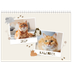 Fotokalender A4 Dubbel (30 x 40 cm) — Speelse kitten [omslag]