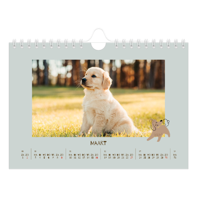 Fotokalender A5 — Speelse puppy [Maart]