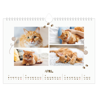 Fotokalender A4 — Speelse kitten [April]