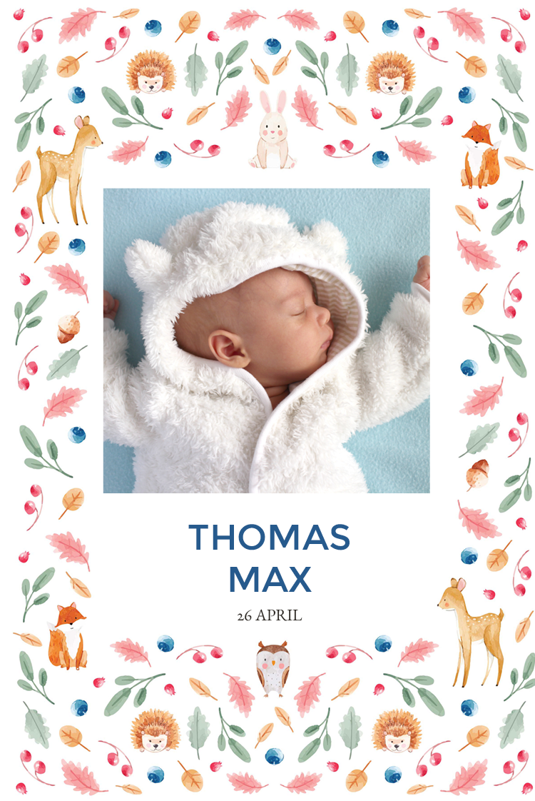 Uitnodigingen — Bosdierbehang