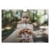 Fotokalender A4 — Twaalf grote maanden [omslag]