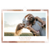 Fotokalender A4 — Verfkwast effect [omslag]