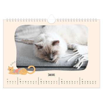 Fotokalender A4 — Kattenpoten en krabbels