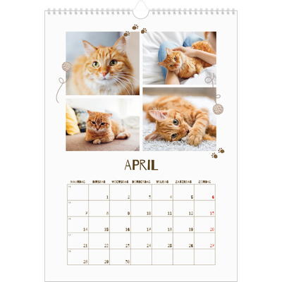 A3 Jaarkalenders — Speelse kitten [April]