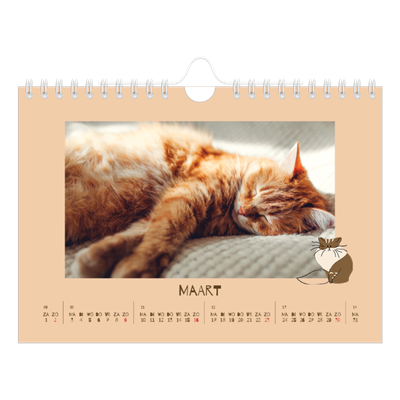 Fotokalender A5 — Speelse kitten [Maart]