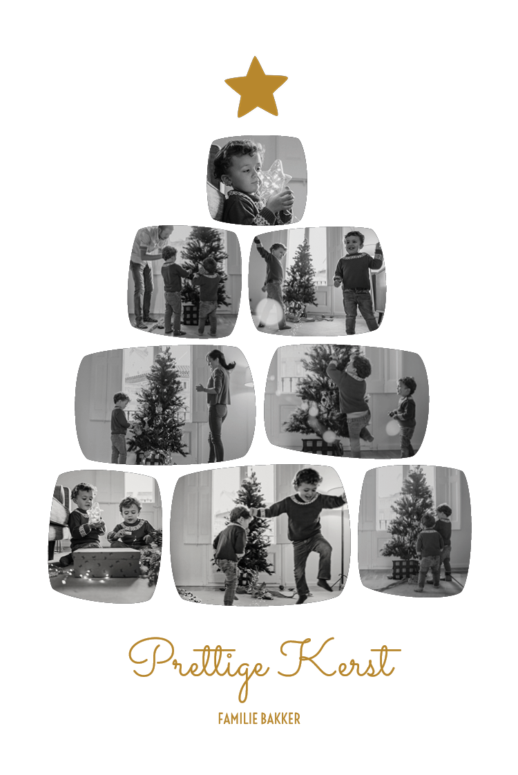 Fotokaarten — Herinneringsboom - wit