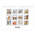 Fotokalender A4 — Plakboekmomenten [omslag]