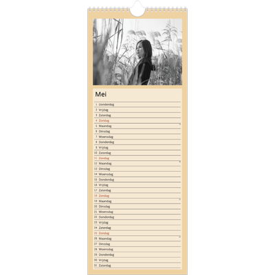 Smalle kalender  — Scandinavische kleuren [omslag]