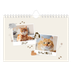 Fotokalender A5 — Speelse kitten [omslag]