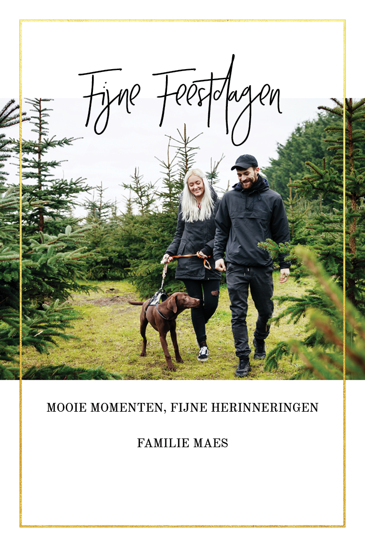 Fotokaarten — Dunne gouden kader