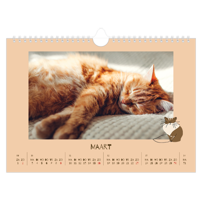 Fotokalender A4 — Speelse kitten [Maart]