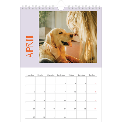 Fotokalender A4 (20 x 30 cm) — Vrolijk & Kleurrijk [April]