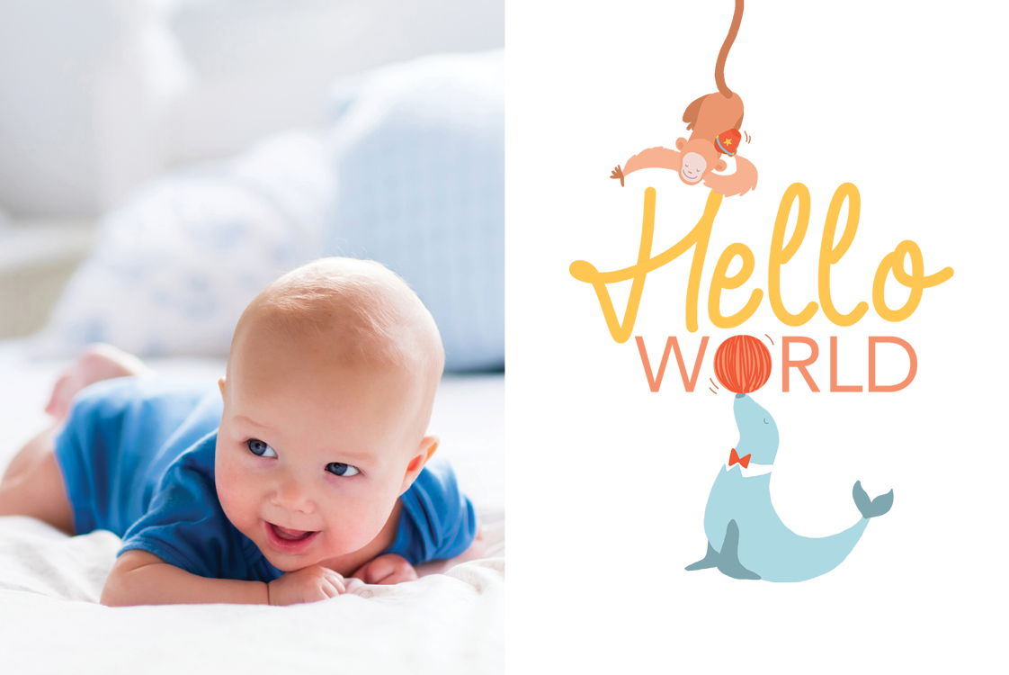 Uitnodigingen — Speelse dieren