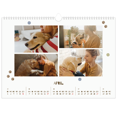 Fotokalender A3 — Speelse puppy [April]