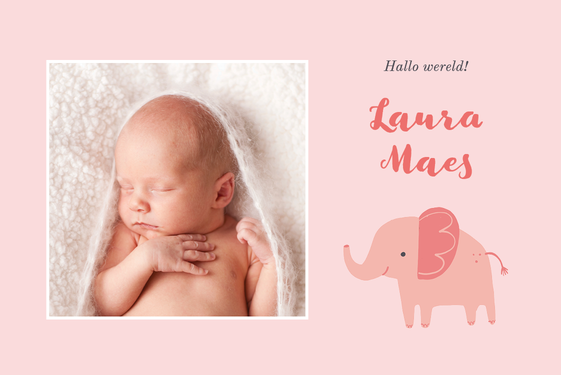 Uitnodigingen — Roze olifant