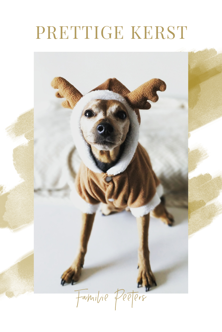 Fotokaarten — Gouden waterverf