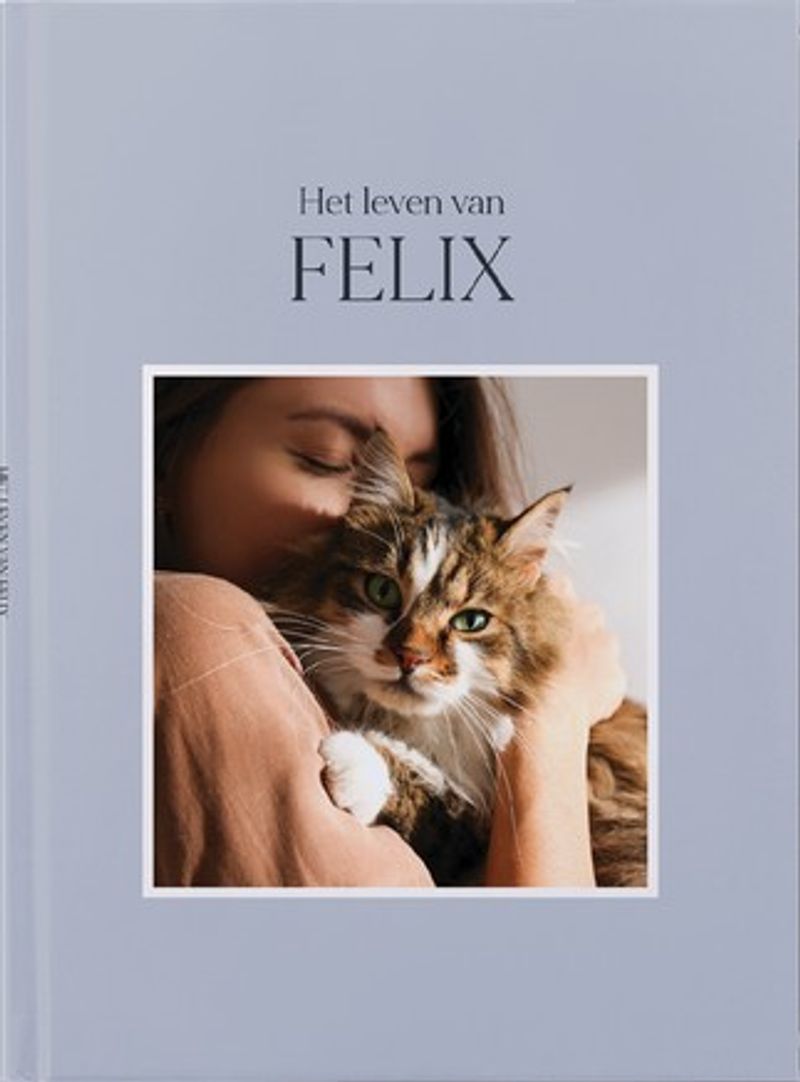 Kat in stijl