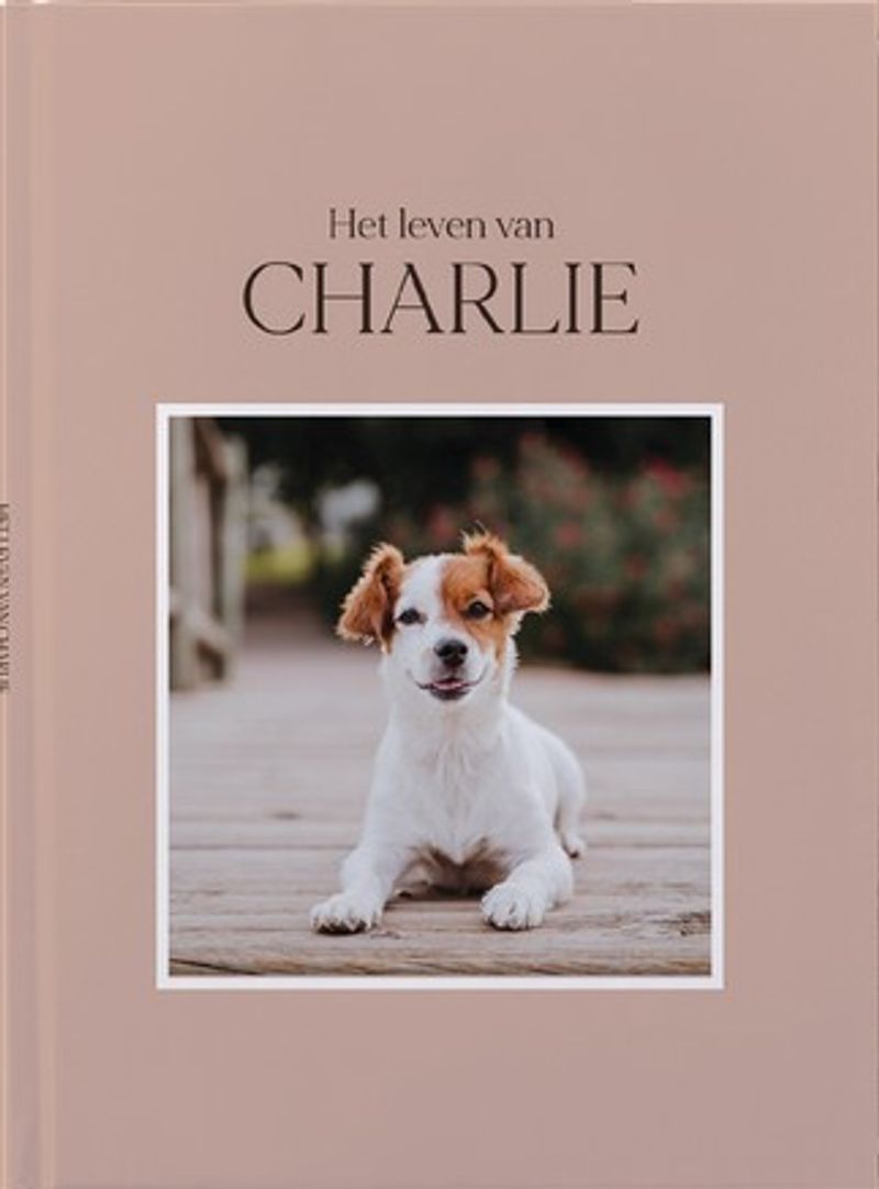Hond in stijl